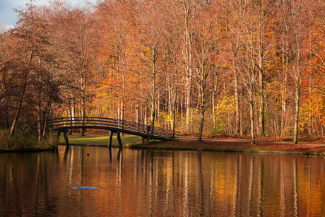 herfstkleuren