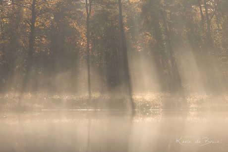 Celestial Light!