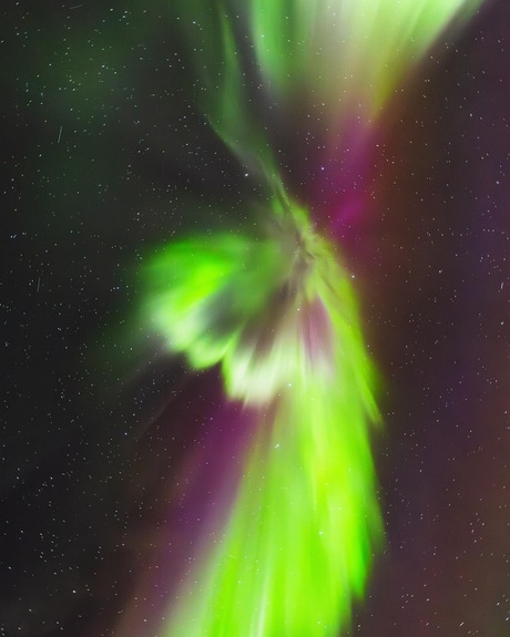 Aurora Borealis