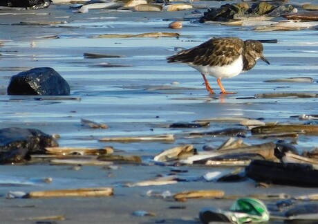 wat is dat groene daar??? 