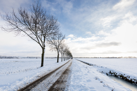 Lijnen in de winter