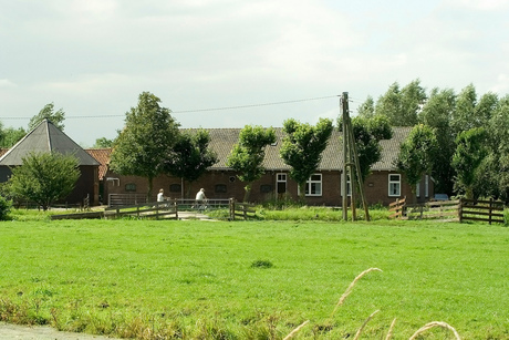 Boerderij