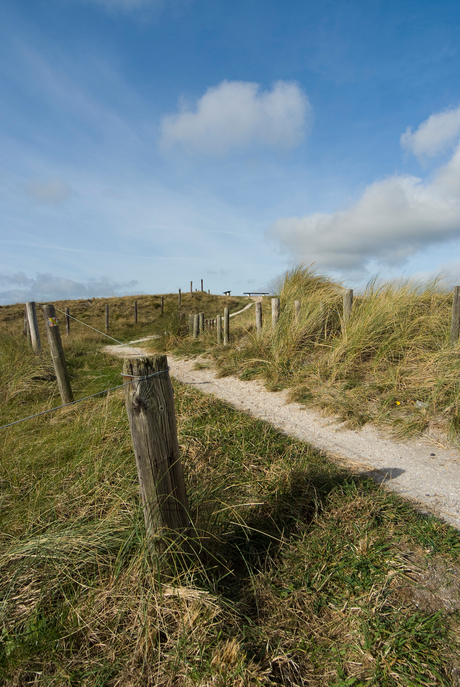 texel