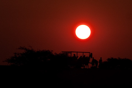 Kalahari sundowner