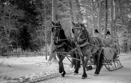 winter 2020Loopark te Apeldoorn