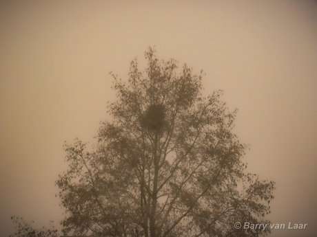 Empty mist-Syndrome
