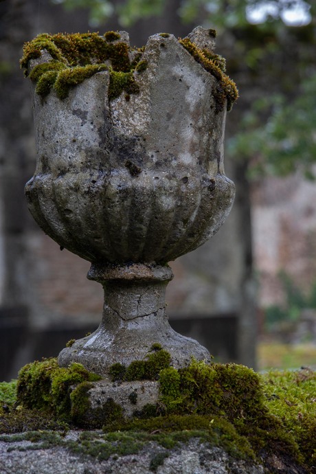 Oradour sur Glane - 10