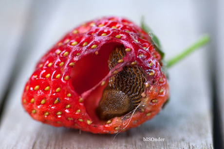 Aardbei in het hart geraakt