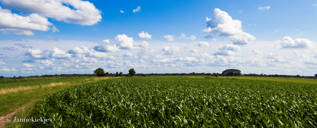 Horstermeerpolder