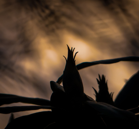 Een klein stukje natuur, precies goed