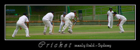 Cricket