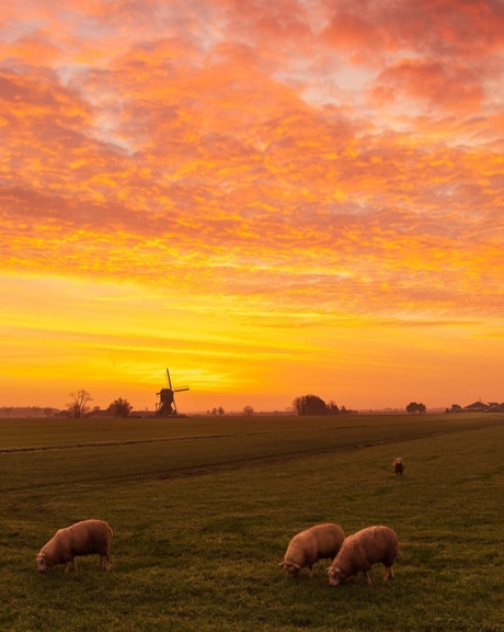 Streefkerk 