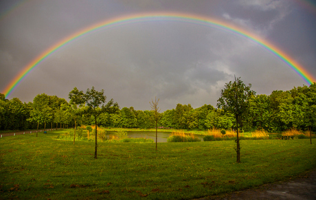 Aan het einde van de regenboog