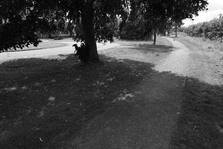 Walkin' the dog