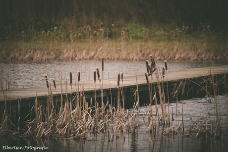 De Groene Grens