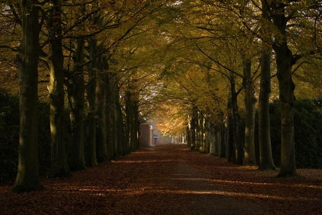 Elswout main entrance path