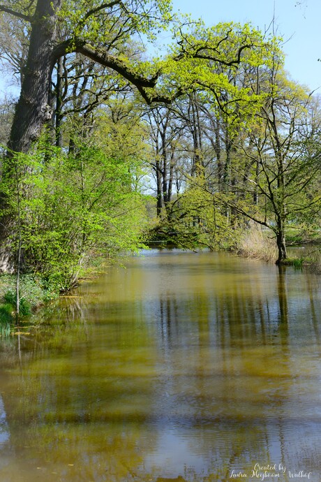 Water bij Kasteel Hackfort