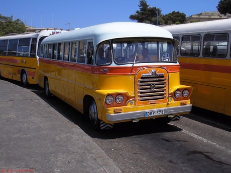Malta Bussen in de rij