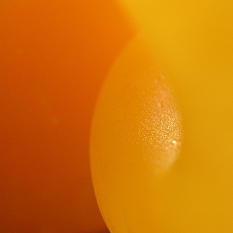 Oranje (3)