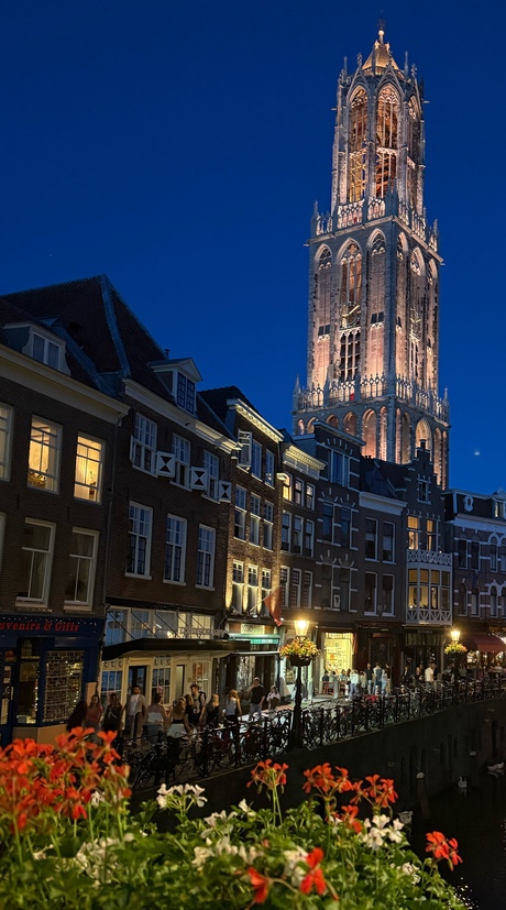 Dom Utrecht