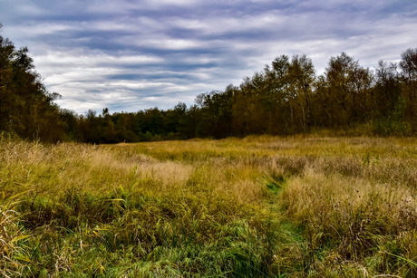 Uitgestrekt land