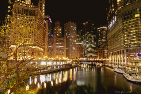 chicago by night