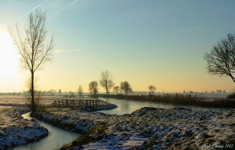 Winters landschap