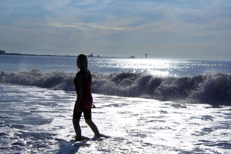 strand hoek van holland