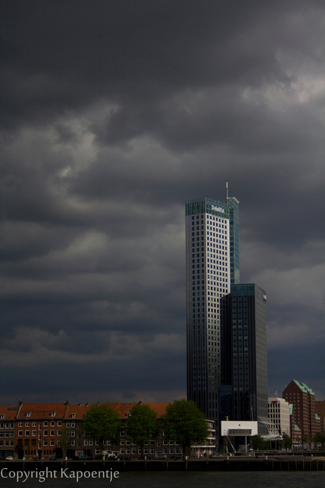 Uitzicht over de Maas