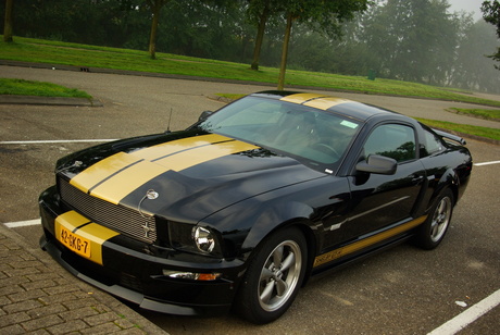 Ford Shelby GT-H