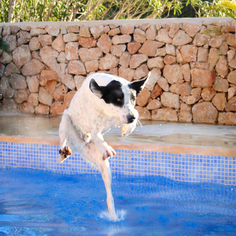 Running over Water