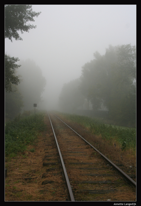 Rails in de ochtendmist