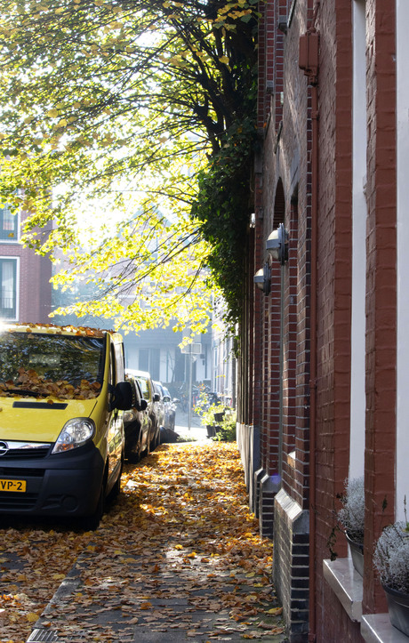 Herfst in de stad
