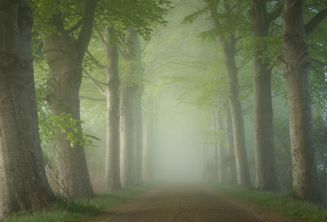 Lentegroen