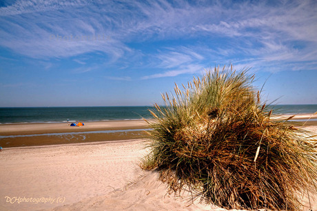 De Zeeuwse kust