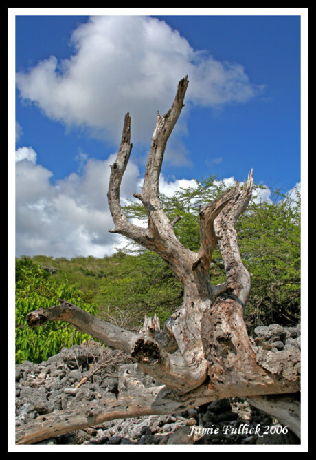 Curacao