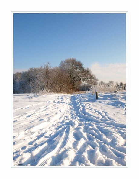 Veel sneeuw..