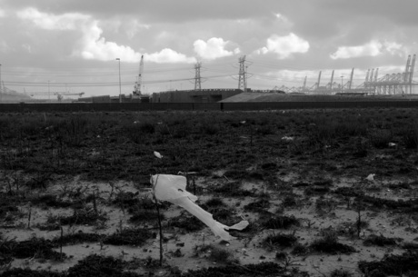 Maasvlakte IV