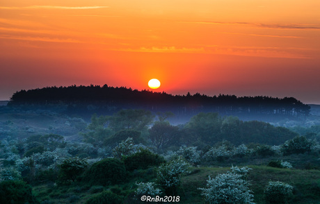 Als de zon ondergaat....