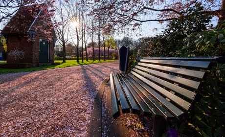 Spring @ Amersfoort and a bench..