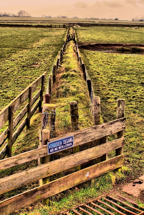 Tuunwal (Hoge berg op Texel)