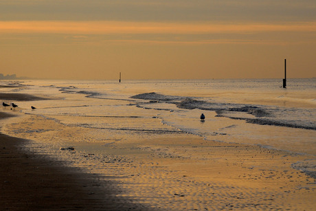 De zee tegenlicht