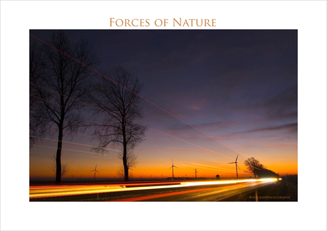 Forces of Nature 9