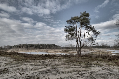 Hatertse vennen