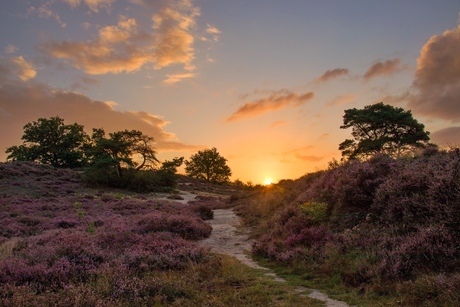 88E615F2-8F03-4410-BD69-3539775C7DFC