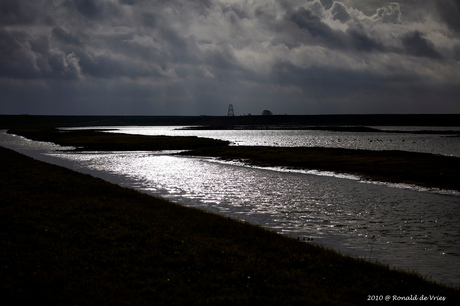 Texel