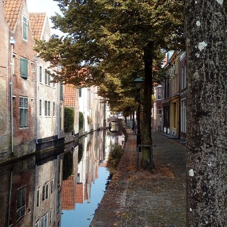 Straatje in alkmaar