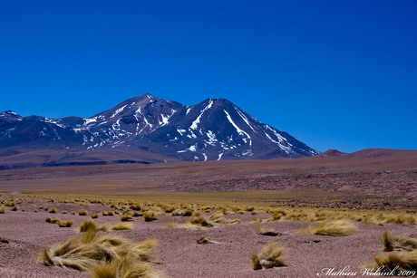 Atacama Desert II region Chile.4