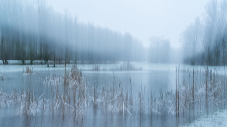 Koude winter