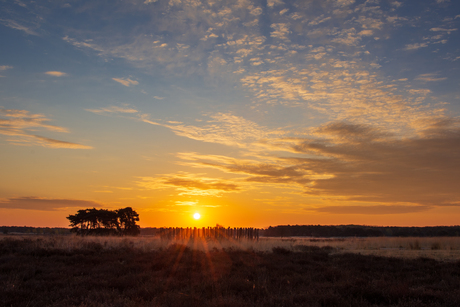 Regte Heide